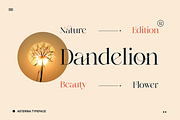 Elegant Ligature Serif Font, a Serif Font by Bekeen.co (Thumbnail 7 of 10)