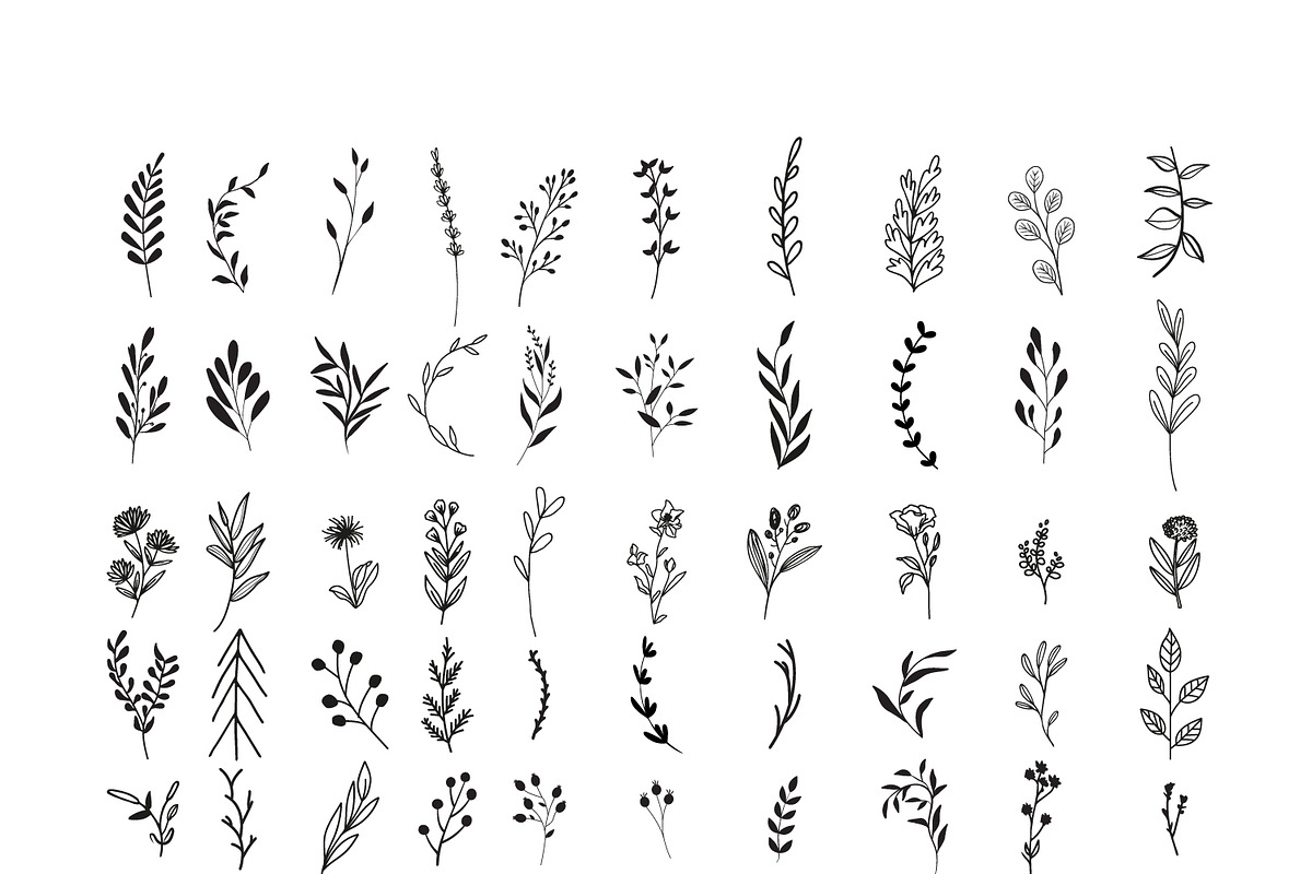 170 Wildflowers Line Art Botanicals, an Illustration by LifestyleCraftCo (Photo 5 of 7)