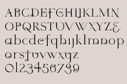Monsieur. Chic serif font, a Serif Font by LostandFoundry (Thumbnail 5 of 7)