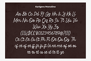 Karlgera - Monoline Script, a Script Font by Haps Space (Thumbnail 8 of 10)