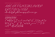 Montise Natasha Stylish Handwritten, a Script Font by stylishtype.co (Thumbnail 17 of 20)