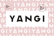 Yangi - Fontface, a Sans Serif Font by La Station B. (Thumbnail 1 of 10)