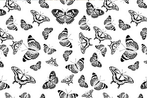 Butterflies Vector Seamless Textures