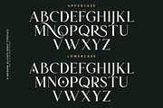Carolina || Modern Serif  Font, a Serif Font by Idea Studio (Thumbnail 11 of 12)