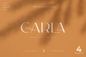 Carla Sans - Elegant Typeface