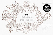 Iris Botanical Line Floral Vector, a Decorative Illustration by katmonne (Thumbnail 1 of 14)