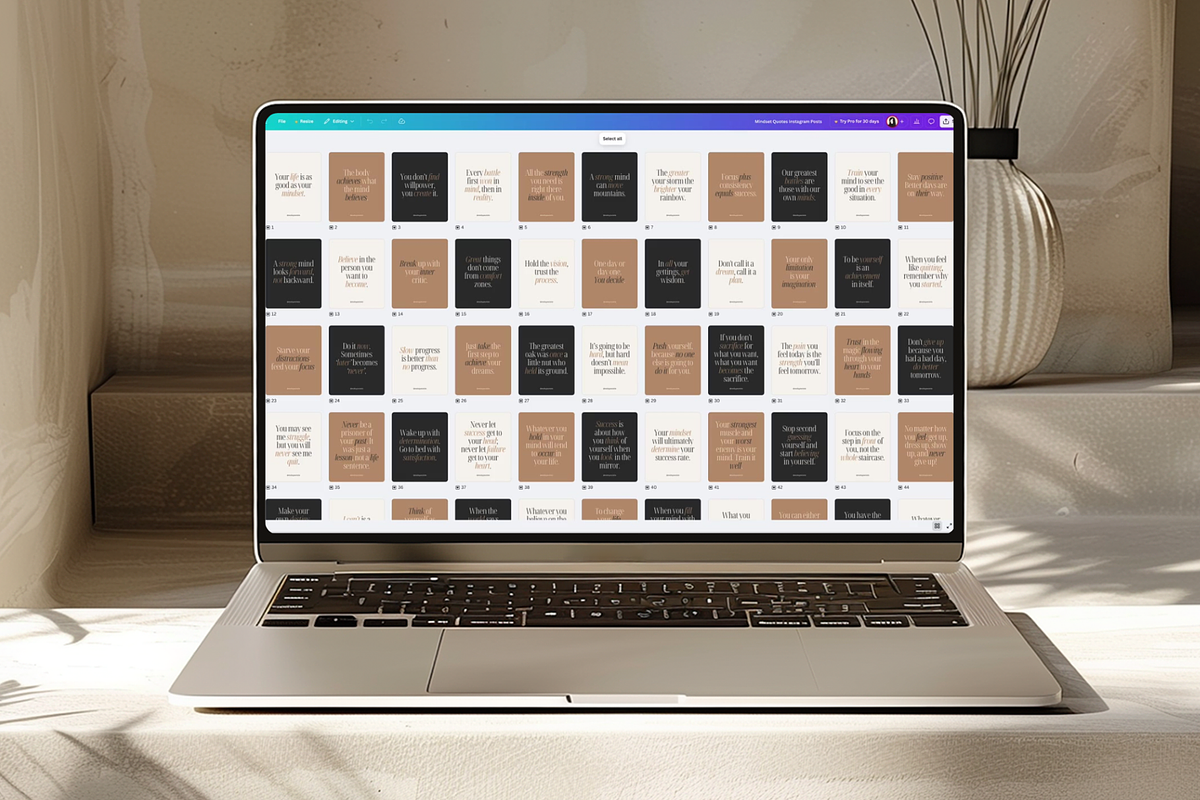 Mindset Quotes Instagram Posts preview 2