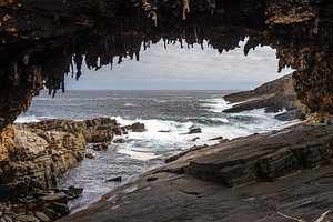 Admirals Arch rock formation at Cape Du Couedic, Flinders Chase,, a Nature Photo by GoodGoods