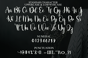 Solitude, a Serif Font by FreshTypeINK (Thumbnail 2 of 8)