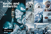 160 Arctic and Antarctic images, a Nature Photo by Handmadefont (Thumbnail 1 of 13)