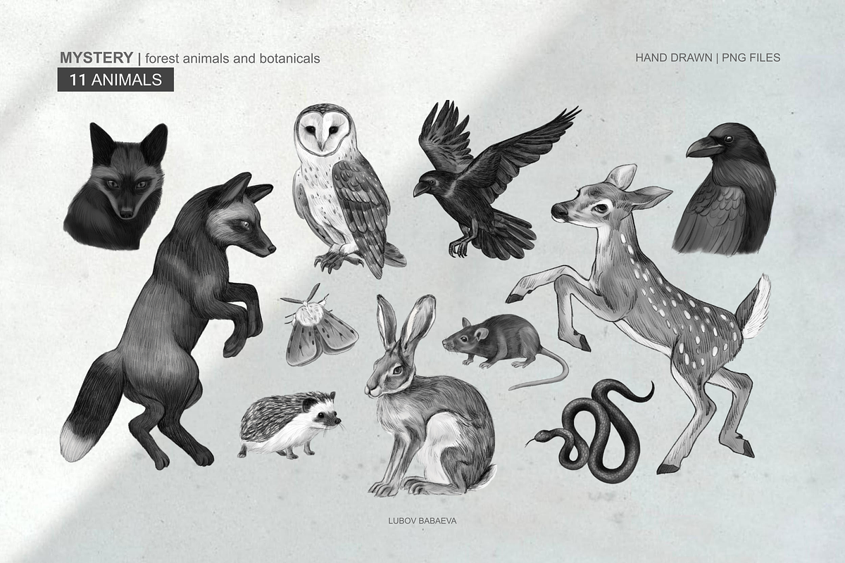 Mystery forest animals, leaves, an Animal Illustration by ARTMIRU (Photo 2 of 11)