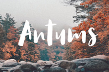 Antums Brush