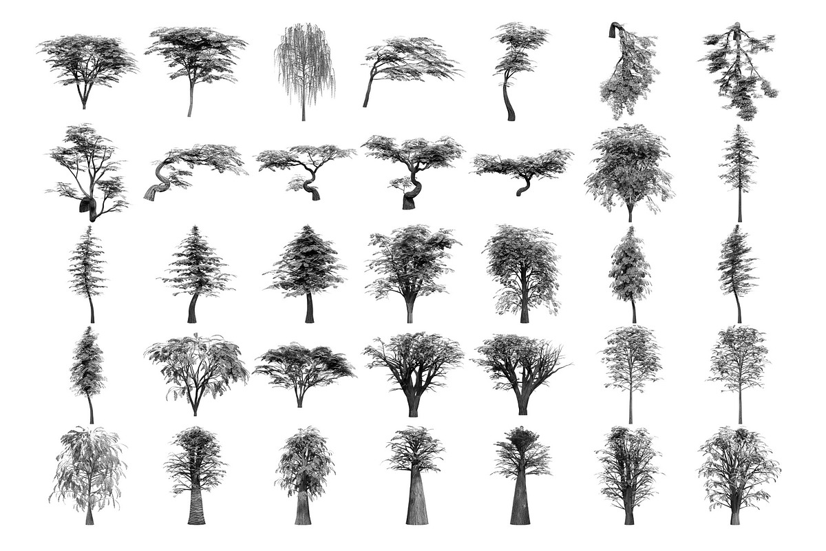 Tree Brushes - Willow Edition, a Brush Add-On by xresch (Photo 21 of 27)