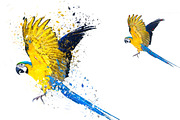 Blast Dispersion Photoshop Action, an Action Add-On by MRI STUDIO (Thumbnail 3 of 14)