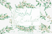 Seeded Eucalyptus Illustration, a Decorative Illustration by DioFlow (Thumbnail 1 of 6)