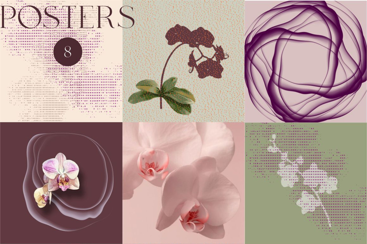 Bohemian Leaves & Orchids, a Decorative Illustration by Collection by VY (Photo 5 of 11)