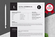 Resume/CV Bundle | 200+ for $29, a Resume Template by ResumeInventor (Thumbnail 69 of 207)