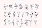 Wildflower Dreams Font & Flowers, a Handwritten Font by Kaya Fonts (Thumbnail 14 of 20)