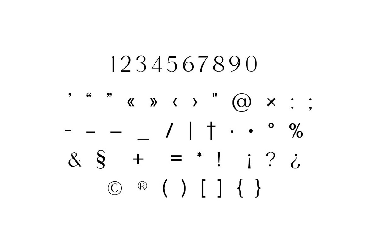 Palatines Serif Display Family Font, a Serif Font by UICreative (Photo 7 of 13)