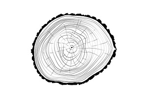 Trunk Isolated
