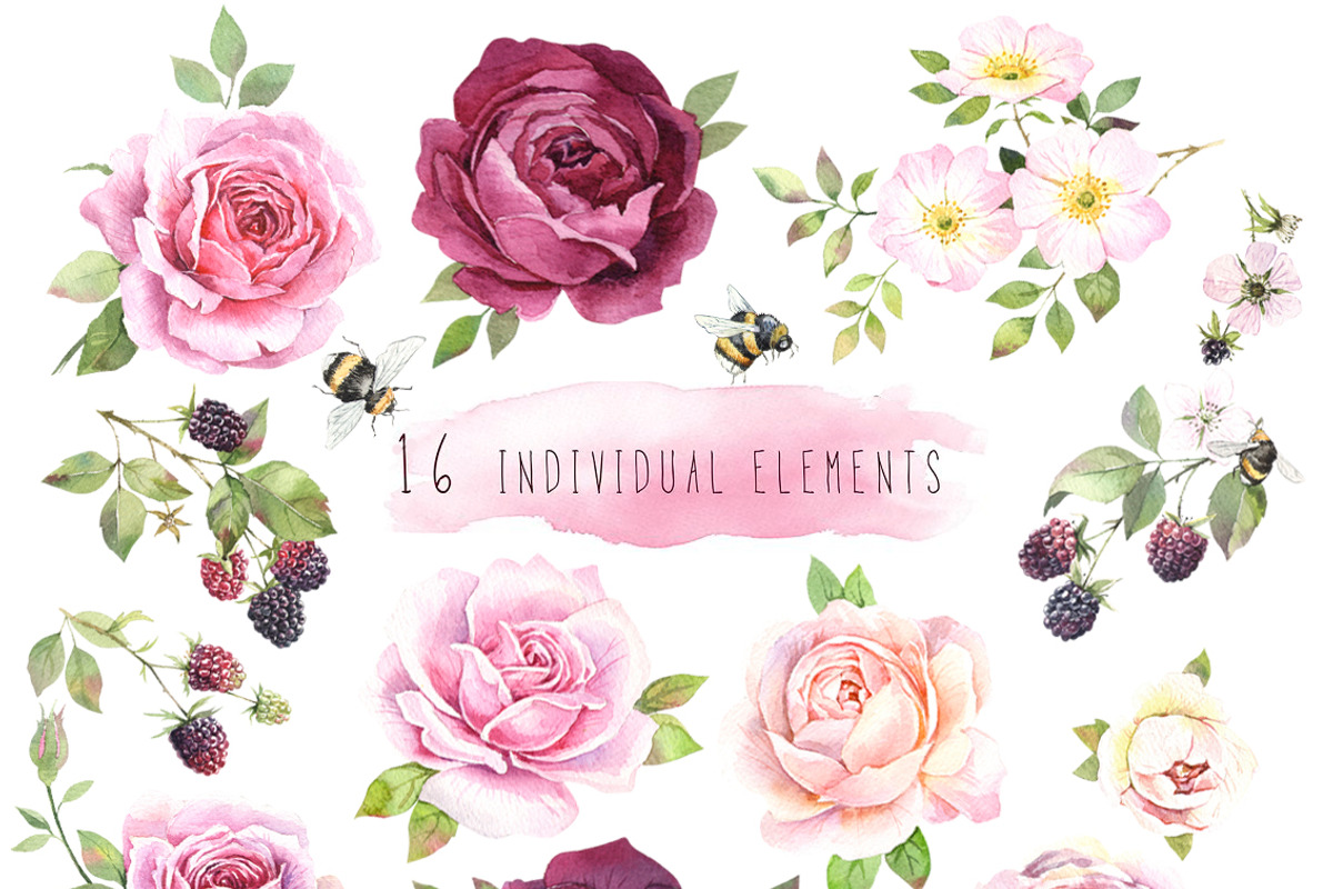 Watercolor rose and blackberry set, an Illustration by PS_patterns (Photo 2 of 6)