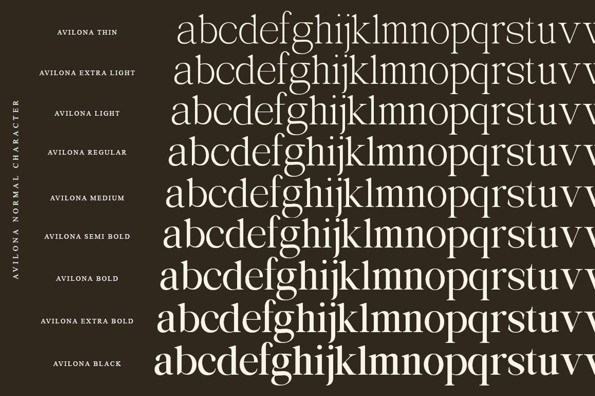 Avilona Super Family | 63 Style Font, a Serif Font by IM Studio (Photo 13 of 16)