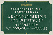 Beatford - Vintage Font, a Serif Font by HansCo Studio (Thumbnail 10 of 12)