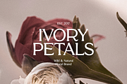 Figure Bold Serif Font, a Serif Font by gafaroff studio (Thumbnail 2 of 6)