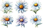 Watercolor Spring Daisy Flower Clipa, an Illustration by DreamPrint404 (Thumbnail 6 of 7)