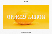 Rutch Display Font, a Serif Font by Typetemp Studio (Thumbnail 3 of 17)