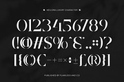 Neilora - Elegant Stencil Serif Font, a Serif Font by Flawless And Co (Thumbnail 8 of 10)