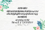 Jasmine handwriting font, a Handwritten Font by BilberryCreates (Thumbnail 5 of 5)