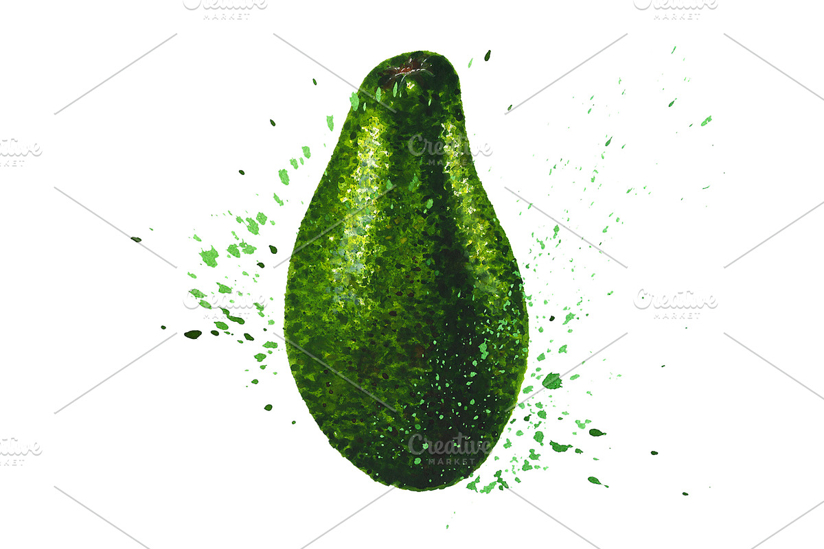 Hand-drawn watercolor Avocado, a Food Illustration by Margo Miller (Photo 7 of 12)