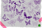 120 Butterfly Procreate Stamps, a Brush Add-On by Nuclear Brushes (Thumbnail 9 of 10)