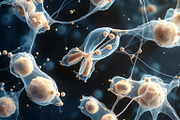 52 Fictional Microscopic Organisms, an Abstract Photo by h.utomo (Thumbnail 30 of 52)