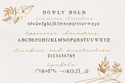 Dowly Font, a Handwritten Font by Anna (Thumbnail 7 of 11)