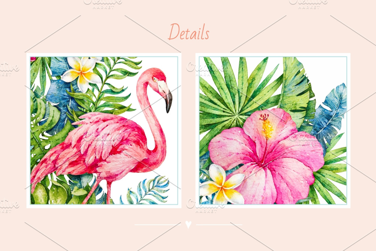 Tropics.Watercolor collection, an Animal Illustration by Ekaterina Mikheeva (Photo 7 of 7)