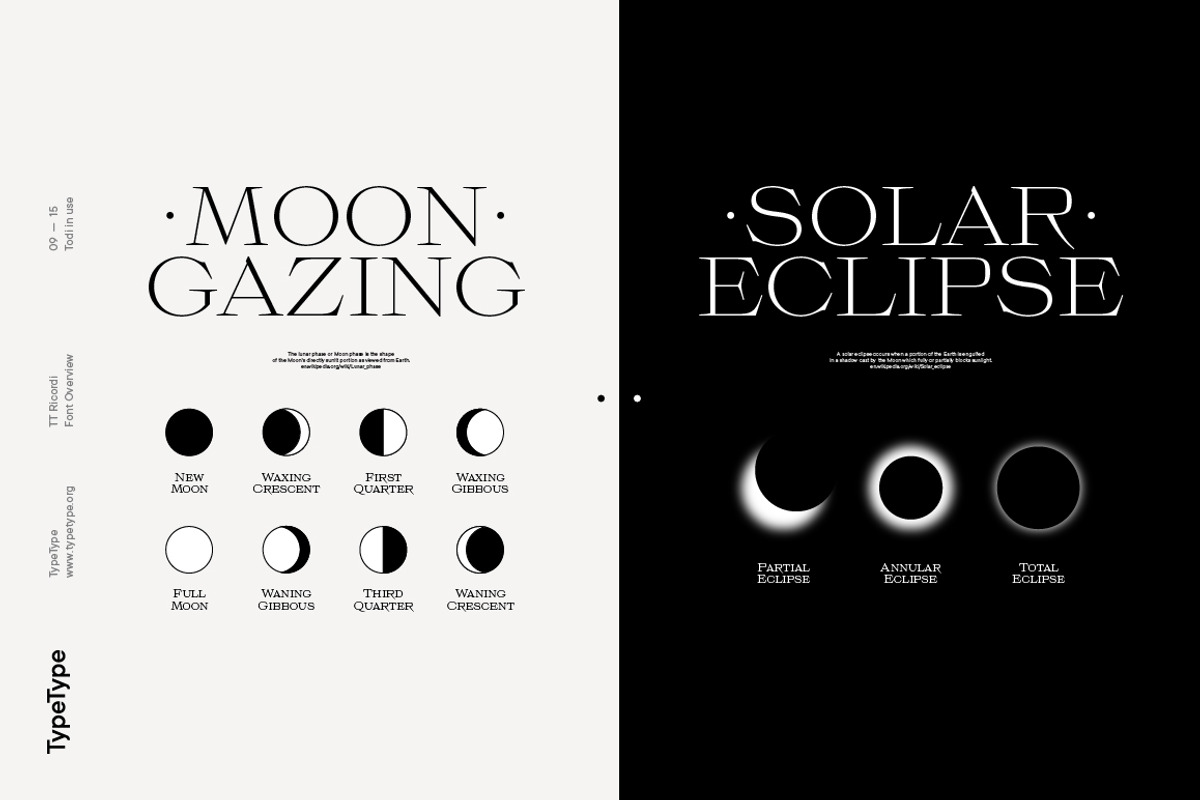 TT Ricordi, a Serif Font by TypeType (Photo 9 of 15)