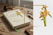Orchid wreath & Bouquet, an Object Graphic by Floraphoria (Thumbnail 6 of 9)