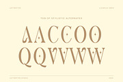 Anova a Elegant & Modern Serif, a Serif Font by Lettertype Studio (Thumbnail 8 of 15)