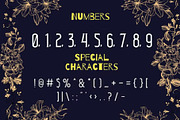 Victorian - Vintage Display Font, a Serif Font by GearShift (Thumbnail 4 of 4)