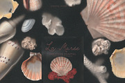 La Maree — Coastal Ephemera, a Background Graphic by nadispasibenko (Thumbnail 3 of 9)
