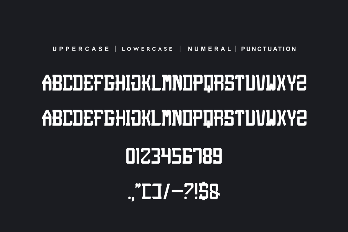 Burnois, a Serif Font by alon kelakon (Photo 5 of 6)