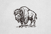 Vintage Buffalo Illustration, an Animal Illustration by lettett (Thumbnail 3 of 3)
