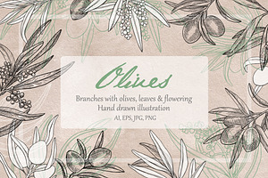 Olives branch. Graphics illustration