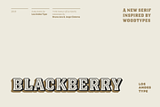 Blackberry - Family 30% off, a Sans Serif Font by Los Andes Type (Thumbnail 1 of 13)