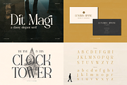 90% OFF! Modern Serif Font Bundle, a Serif Font by Denustudios (Thumbnail 5 of 16)
