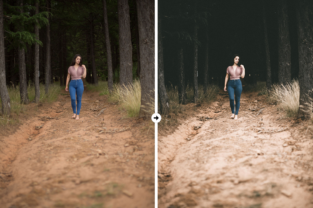Forest VSCO-Like Lightroom Preset preview 6