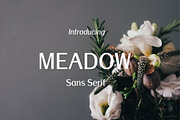 Meadow-Sans Serif font family, a Sans Serif Font by TinyWanderersArt (Thumbnail 1 of 4)