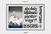 TAN - ROSEBUD, a Font by TanType (Thumbnail 2 of 15)